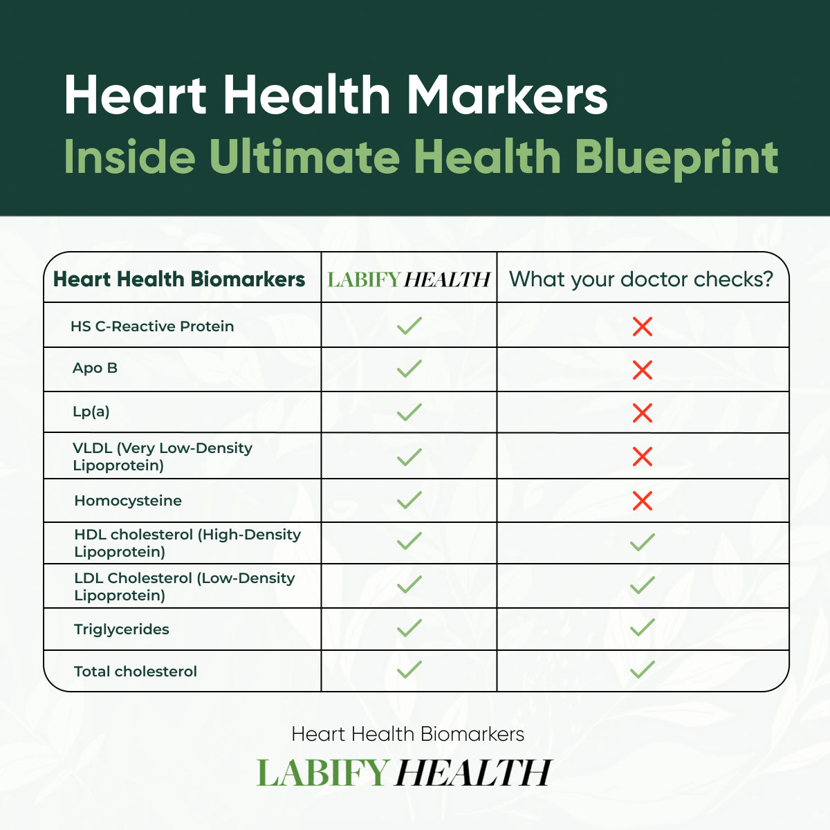 The Ultimate Health Blueprint Yearly Subscription
