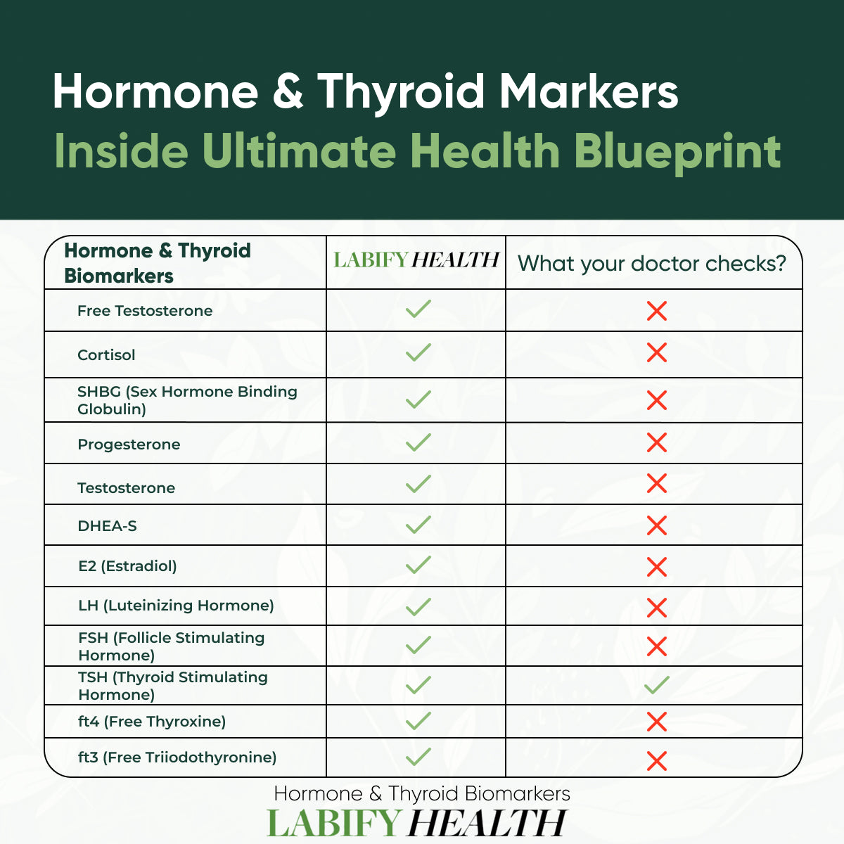The Ultimate Health Blueprint Yearly Subscription