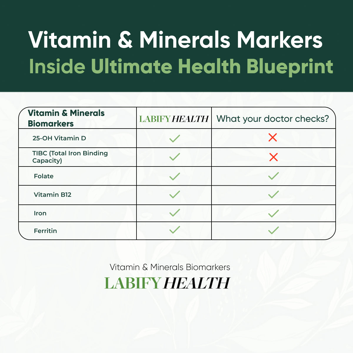 The Ultimate Health Blueprint Yearly Subscription