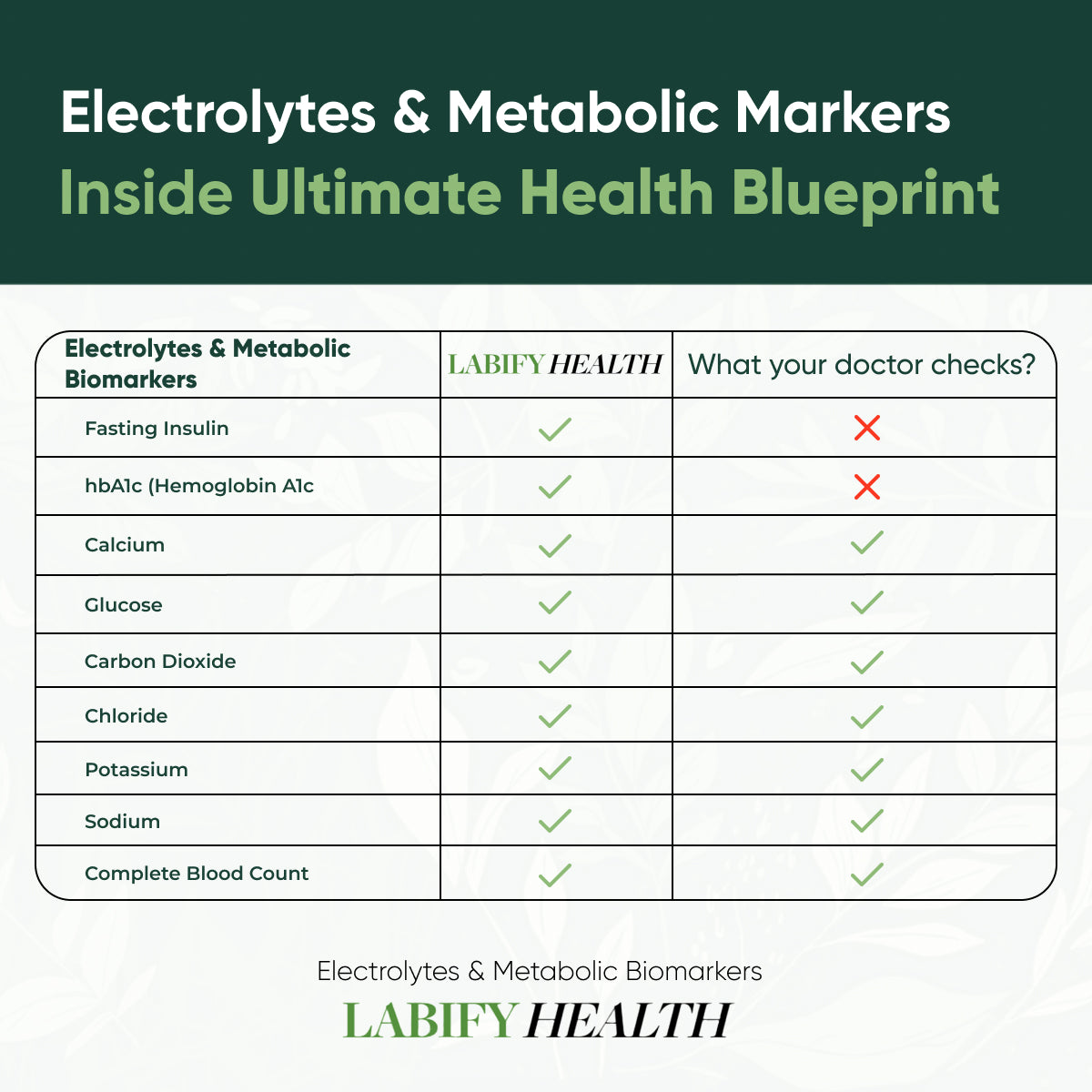 The Ultimate Health Blueprint Yearly Subscription