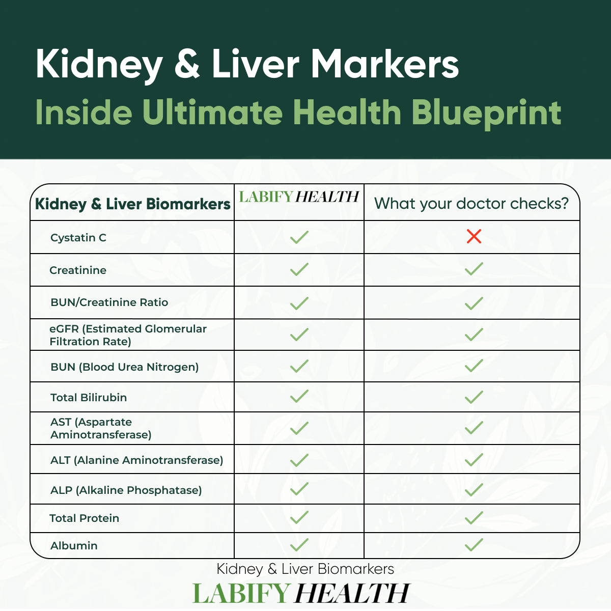 The Ultimate Health Blueprint Yearly Subscription